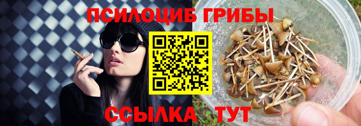 Псилоцибиновые грибы GOLDEN TEACHER  Псилоцибиновые грибы ЛСД  Обнинск  Вход с VPN 